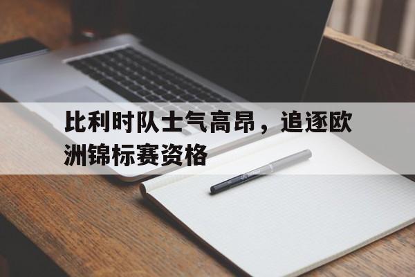 比利时队欧洲杯战绩